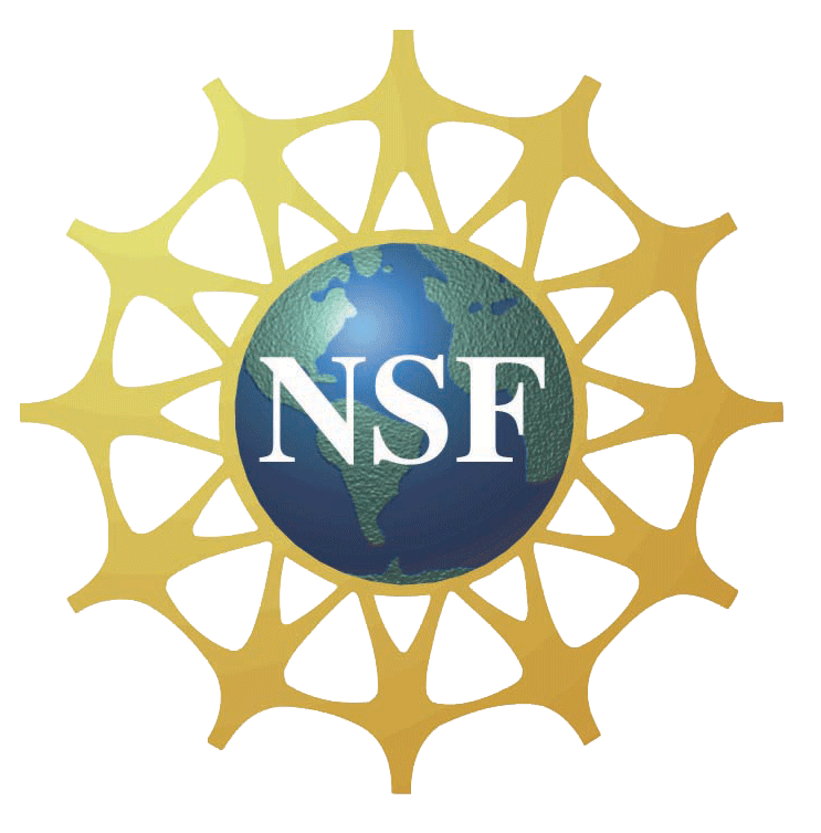 nsf_logo_large